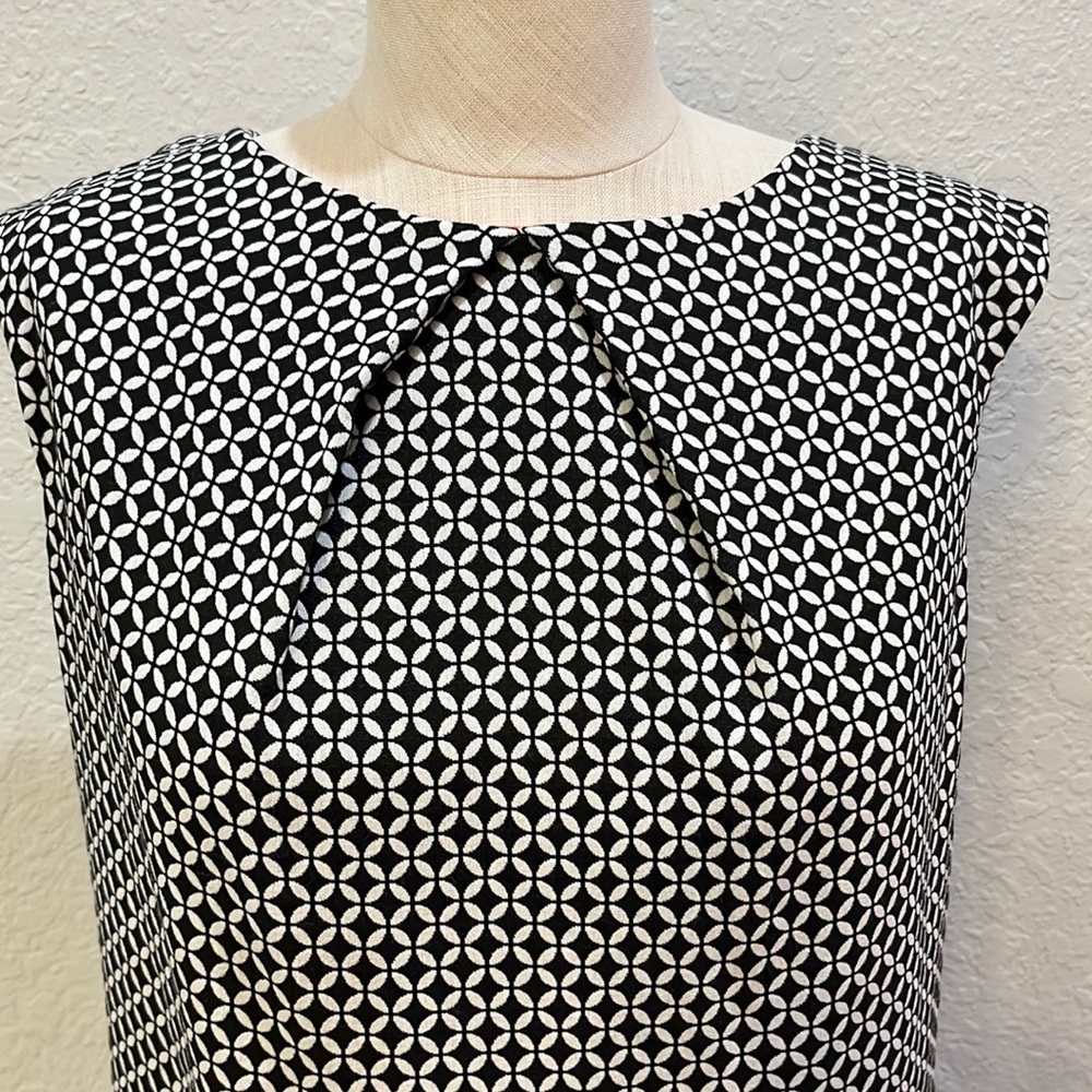 Sandra Darren Dress View 5